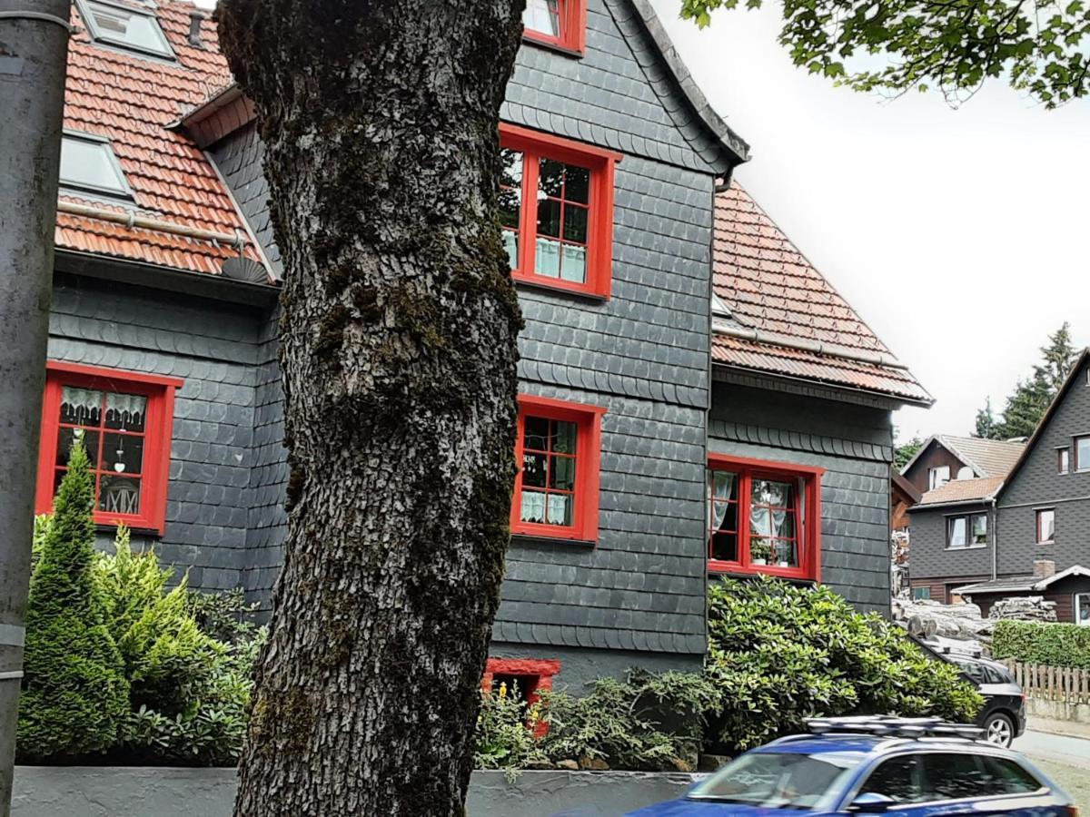 Fewo Holzwurm Braunlage Exterior photo